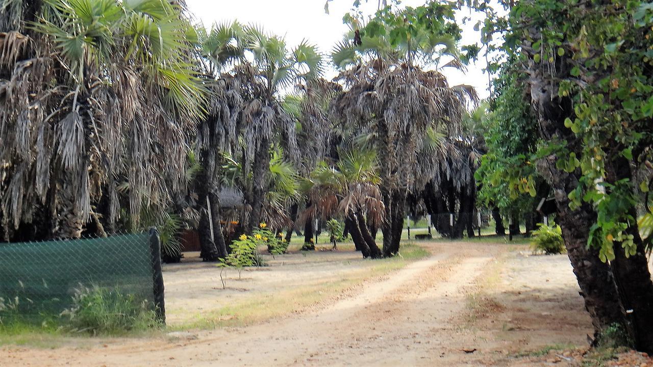 Paridiseos Resort Barra Do Dande Экстерьер фото